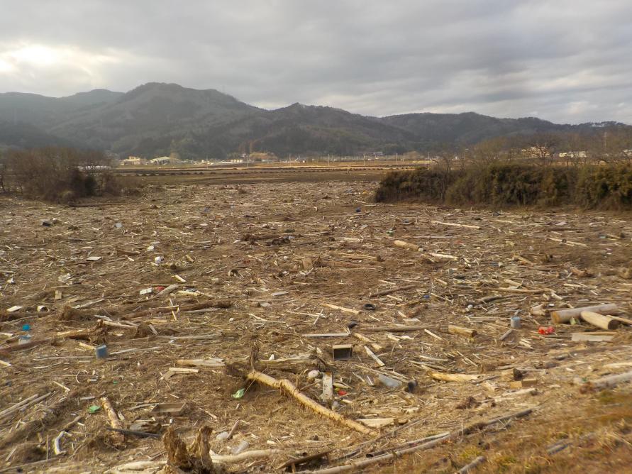 令和元年東日本台風災_被災農地(土砂流入)