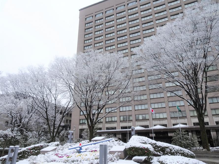 県庁冬