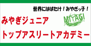 みやぎジュニアスポーツパワーアップ事業