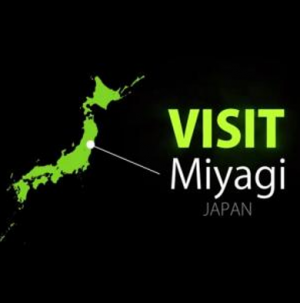 VISITMIYAGI