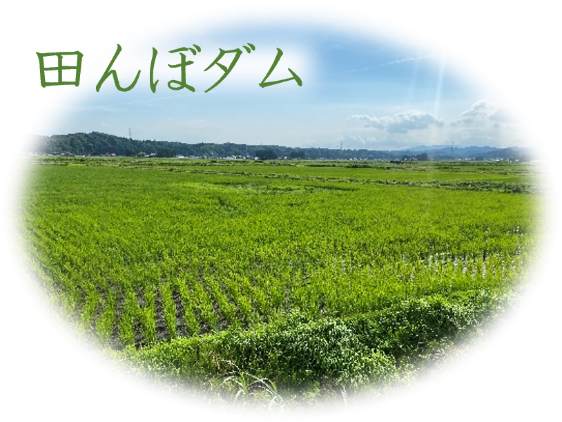 田んぼダム