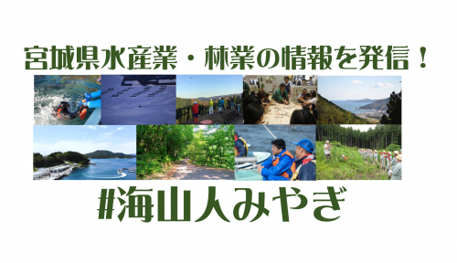 海山人みやぎ