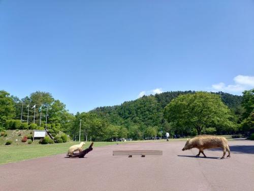 広場の様子