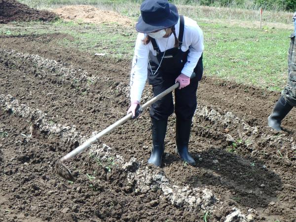 ほ場の土をならす様子