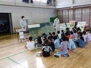 用水路や排水路の歴史について