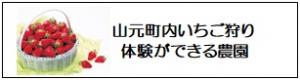 山元町内でいちご狩りが体験できる農園バナー