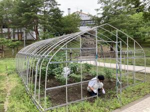 除草作業1