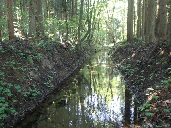 南原穴堰の開水路の写真