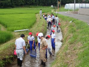 生き物学習