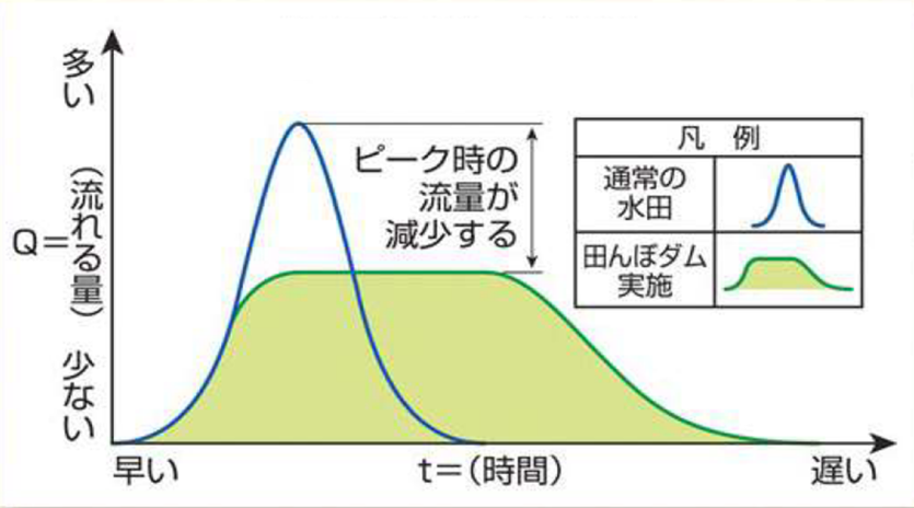 グラフ