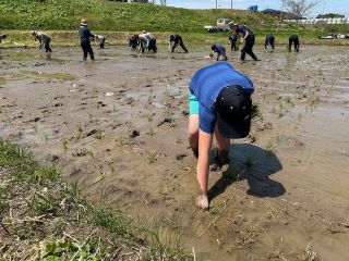 田植え体験会