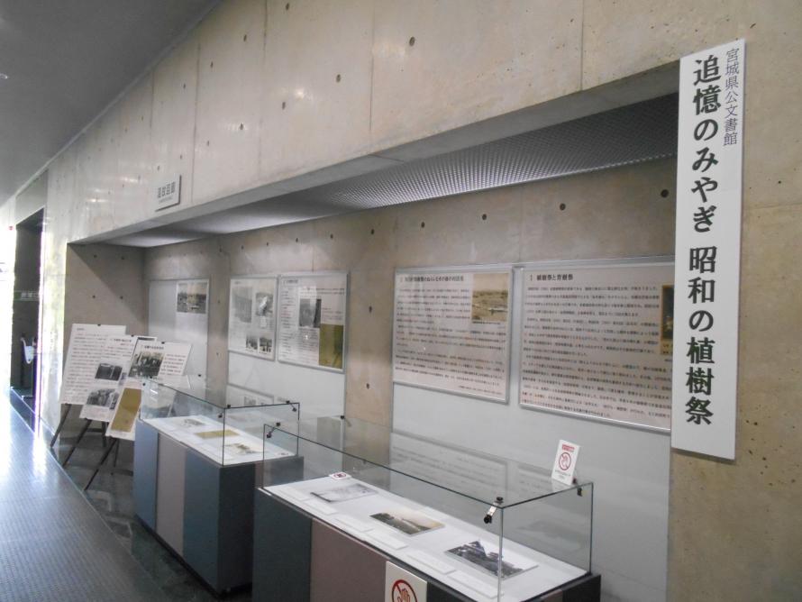 常設展