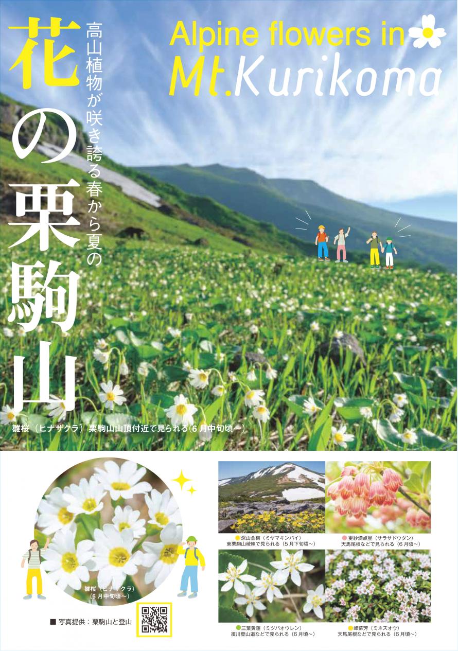 花の栗駒山リーフレット表紙