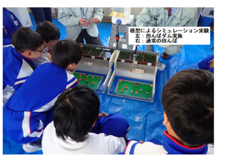 田んぼの雨水ゆっくり排水プロジェクト（圧縮）