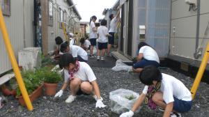 古川北中学校ボランティア活動の様子1