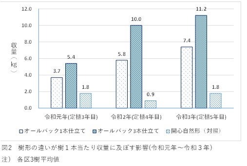 樹形の違いが1本当たり収量に及ぼす影響の図