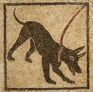 Pompeii7_Bewareofthedog