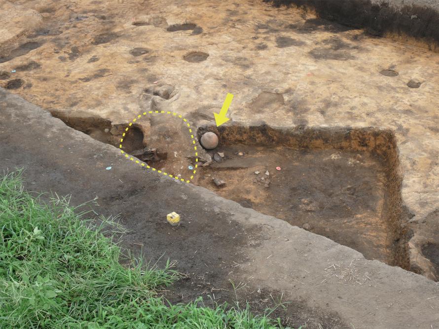 竪穴建物跡の掘り下げ状況