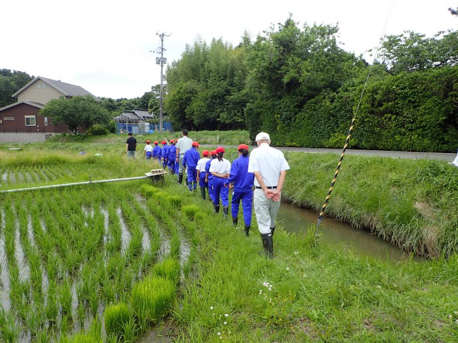 生き物調査へ移動