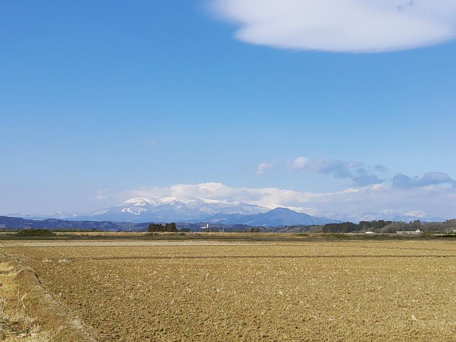 江尻の田園