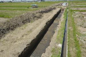 見つかった古代の水田跡