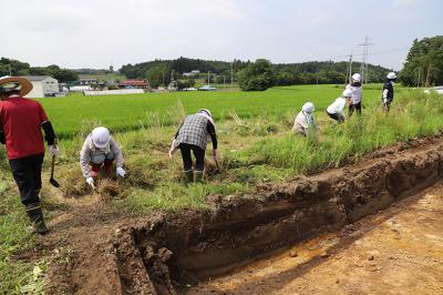 調査区周辺の環境整備