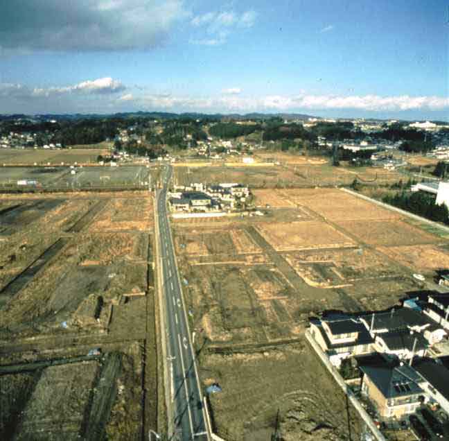 調査区　多賀城跡を望む