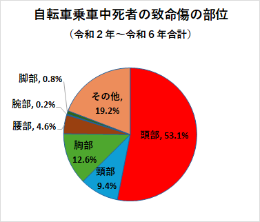 自転車乗車中死者の致命傷の部位