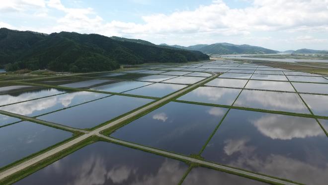 大川地区水鏡