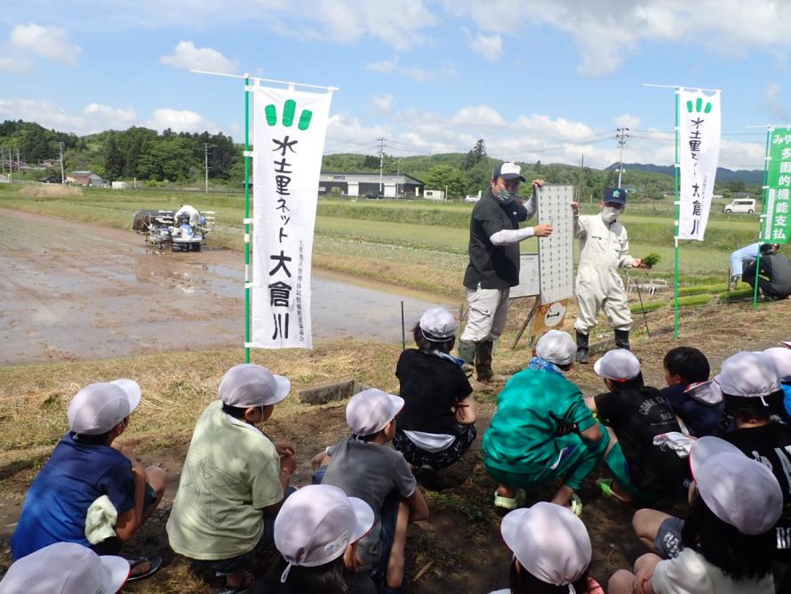 田植えの説明