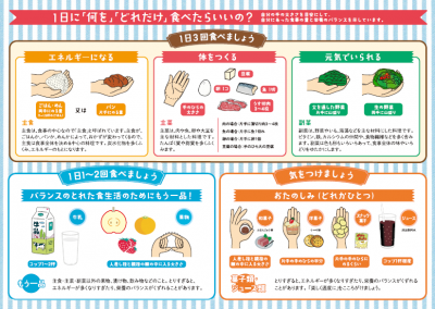 手ばかり栄養法の図宮城県健康推進課作成