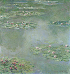 Water Lilies