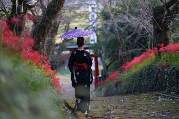 優秀賞作品（小泉熊野神社）