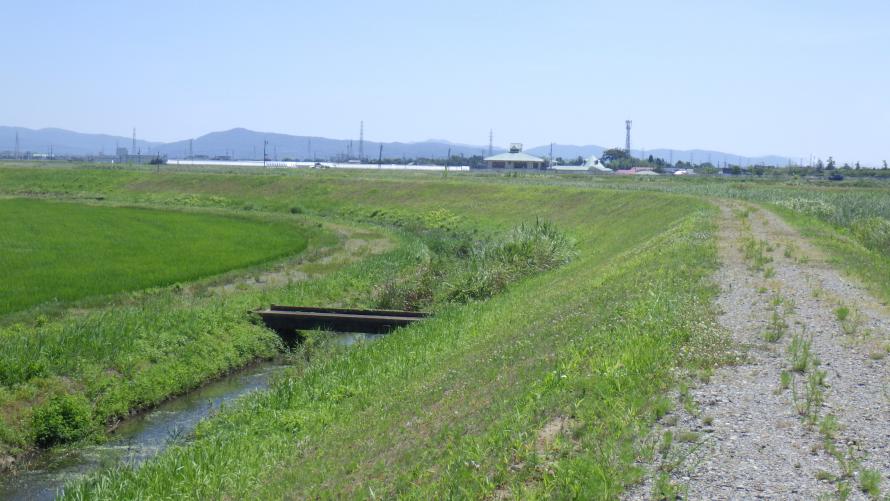 除草作業後