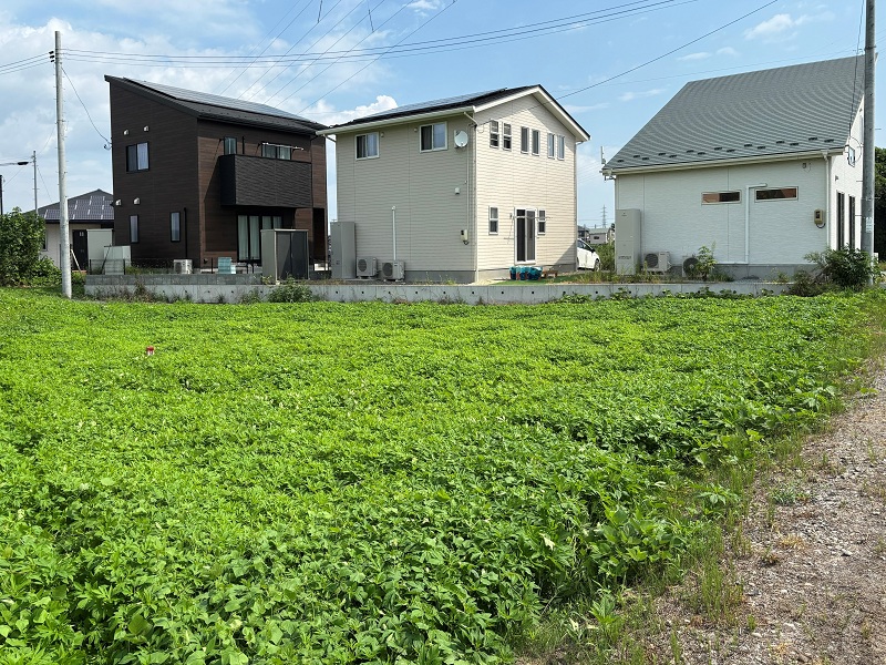 旧笊川河川敷