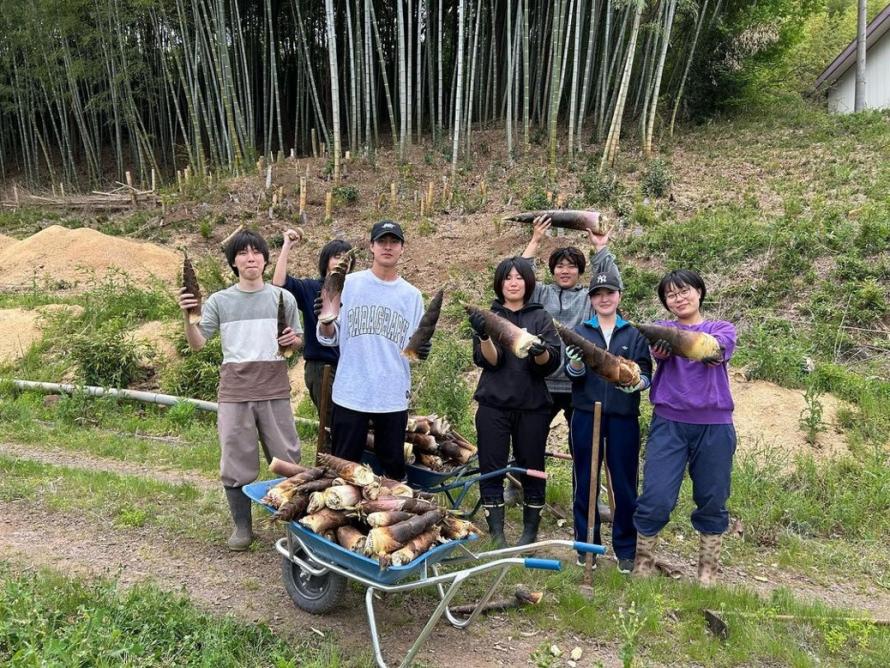 タケノコ収穫しました！///2024 - 宮城県公式ウェブサイト