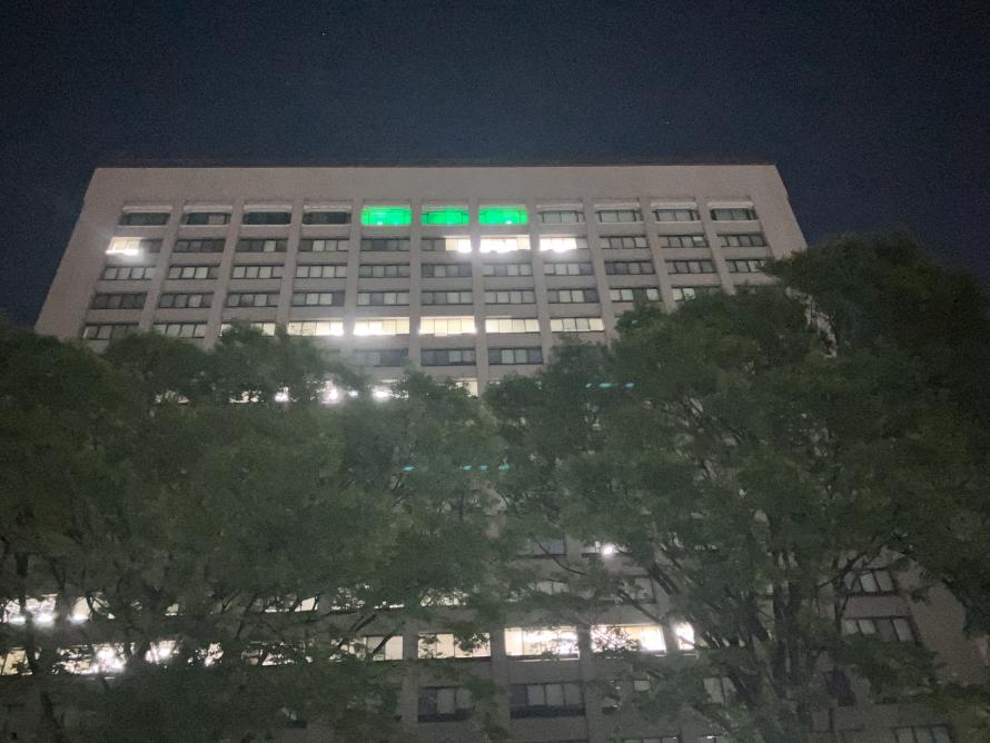 ライトアップ１