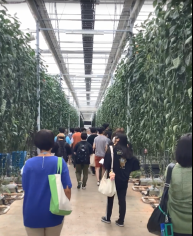 工場見学2
