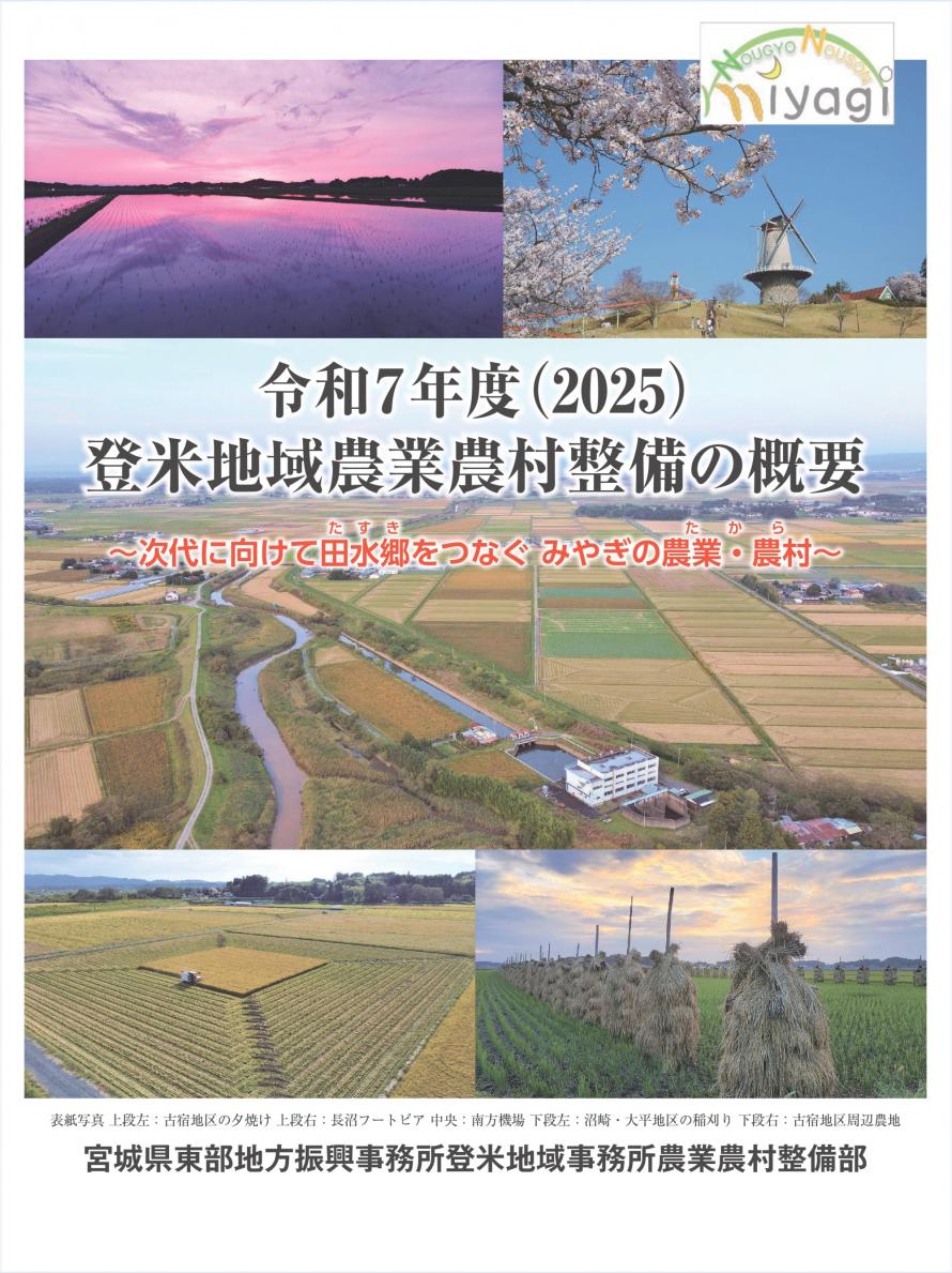 hyoshi