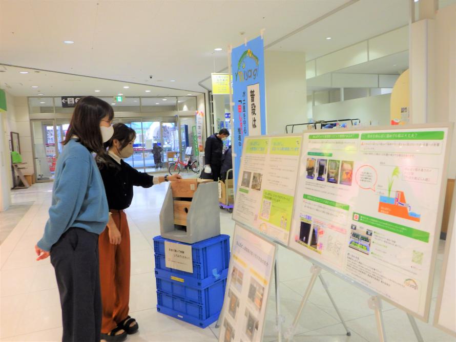展示の様子