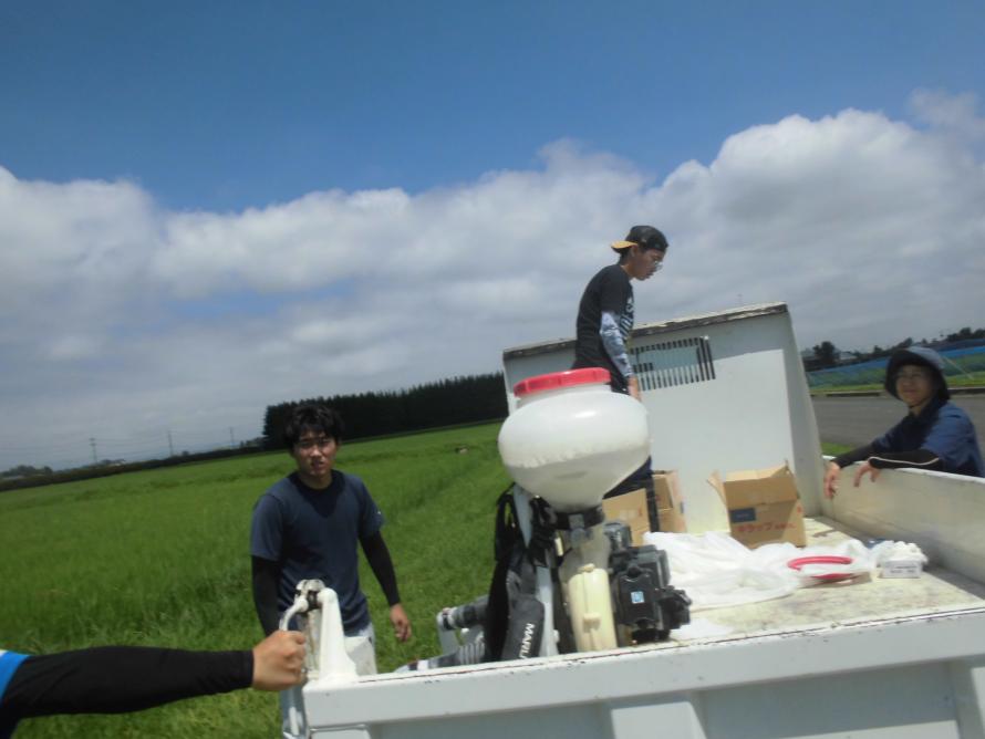 カメムシ防除1