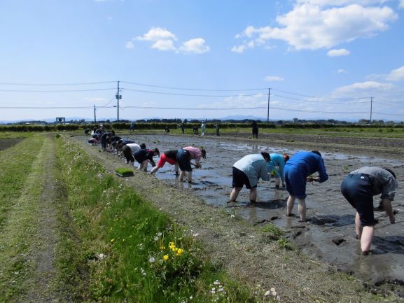 田植1