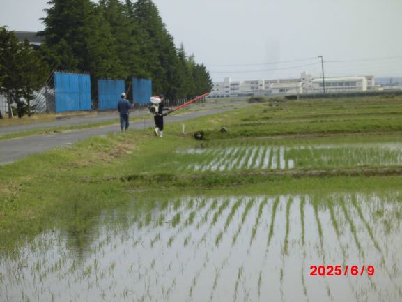 散布1