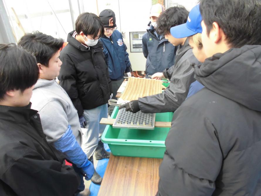 ペーパーポット土入れ2