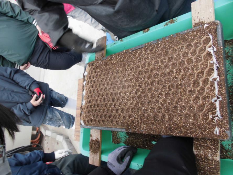 ペーパーポット土入れ3