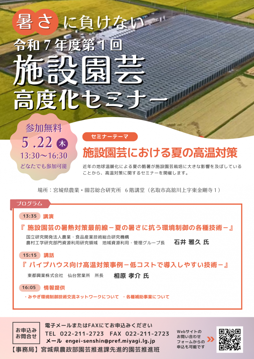 チラシ
