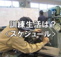 スケジュール
