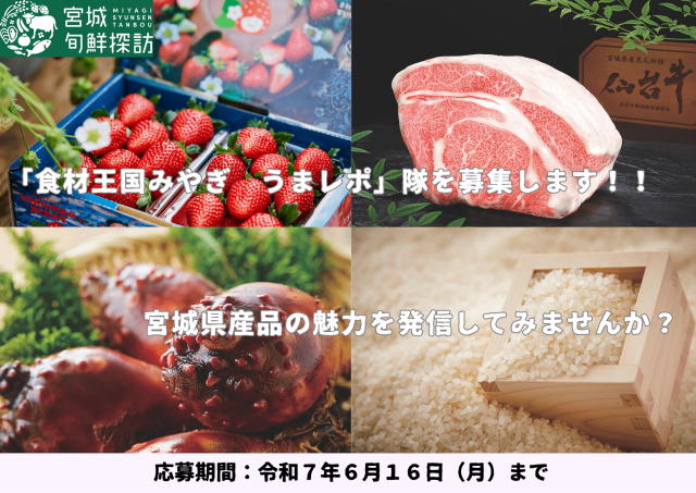 募集画像