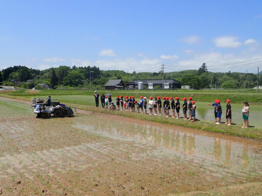 田植え機での田植えも見学しました