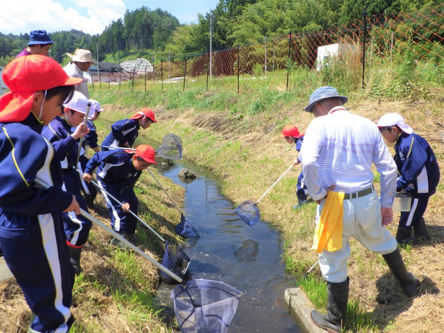 生き物調査の様子1